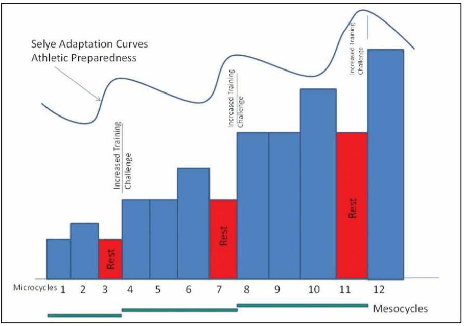 zdroj: https://www.nsca.com/contentassets/116c55d64e1343d2b264e05aaf158a91/basics_of_strength_and_conditioning_manual.pdf